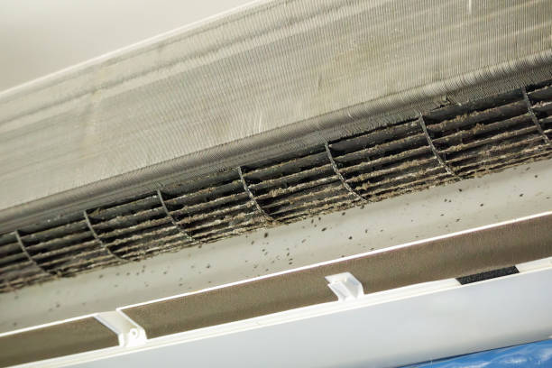 Best Best Air Duct Cleaning Company  in Hypoluxo, FL